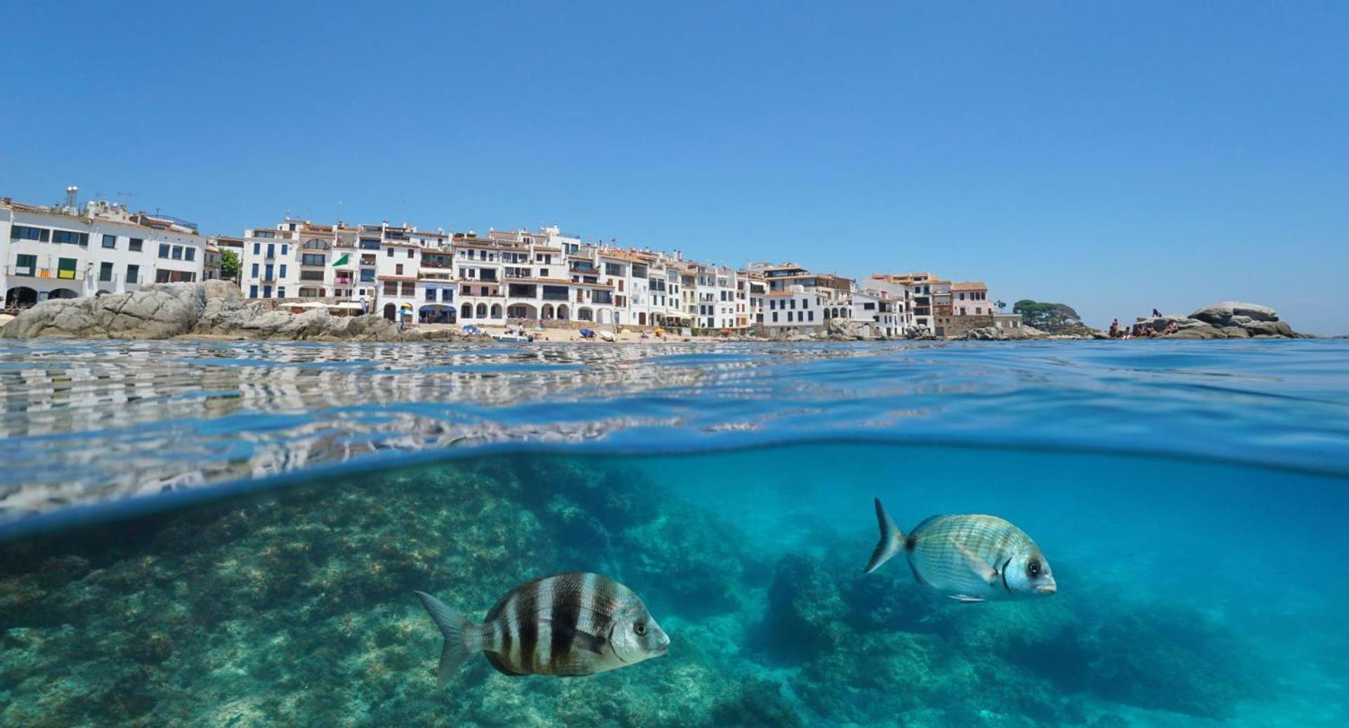 Apartamento Recien Reformado A 300 Metros Del Mar カレリャ・デ・パラフルジェリ エクステリア 写真