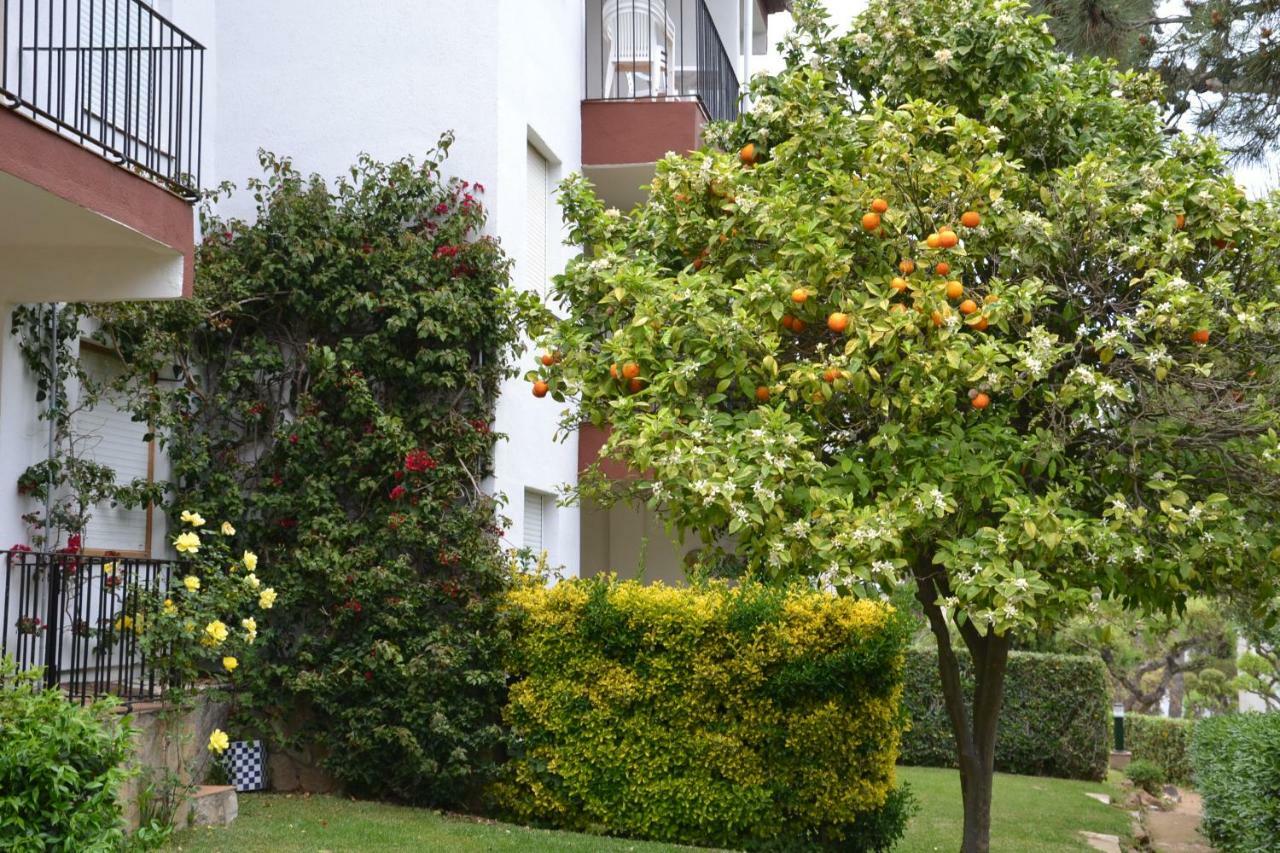 Apartamento Recien Reformado A 300 Metros Del Mar カレリャ・デ・パラフルジェリ エクステリア 写真